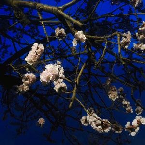 我不卡爱爱爱视频
